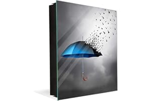 CONCEPT CRYSTAL 50 Key lock Box storage holder with Decorative front glass panel K10 Flying birds umbrella
