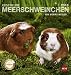Produktbild Meerschweinchen Postkartenkalender - Kalender 2018
