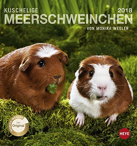 Preisvergleich Produktbild Meerschweinchen Postkartenkalender - Kalender 2018