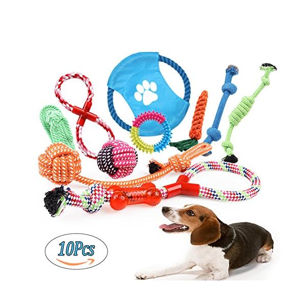 Dog Rope Toys Puppies Dogs Cotton Rope Toy Set Durable Chew Toys for