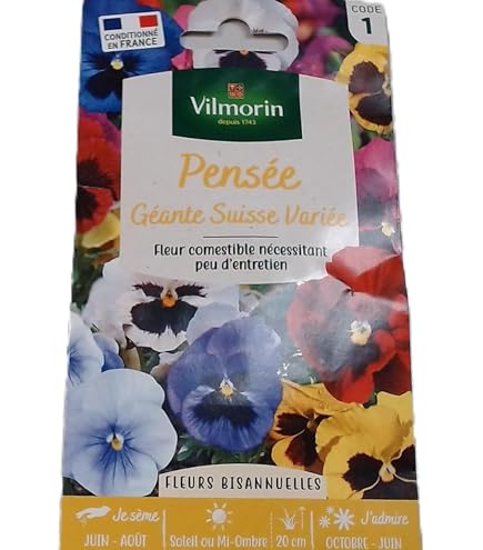 Vilmorin Graines Pensées Géantes Multicolores - Fleurs Abondantes Pour Massifs Et Jardinières