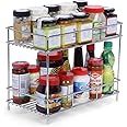 NH10 DESIGNS 2-Tier Stainless Steel Kitchen Storage Spice Rack and Container Organizer Counter top Kitchen Stand Multipurpose Masala Stand for Kitchen Kitchen Space Saver Rack (Pack of 1) (NHSP)
