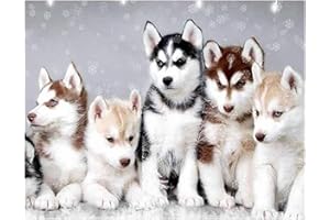 DCIDBEI (40 x 50 cm)DIY Square Diamond Painting Full Drill kit Fai Da Te 5D con Diamantini Quadrati Famiglia Husky Ricamo Punto Croce Mosaico con i Numeri di Cristallo per Decorazione della Casa