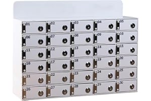 LVRUIEDS Custodia per cellulare, con scomparti da 12/15/20/25/30/40, chiusura trasparente per cellulare con serratura, armadietto per cellulare (bianco, 30 slot)