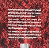 Image de Il colore succede, non si provoca. Ediz. italiana, inglese, francese e tedesca