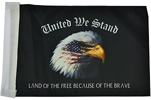 HDBUBALUS Mástil para bandera de lateral para motocicleta trasera portaequipajes para Harley Sportster XL Touring Road King Glide & FLHT cromo