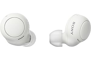 Sony WF-C500 - Ecouteurs bluetooth sans fil (étanchéité IPX4 Jusqu'à 20h d'autonomie) - Blanc