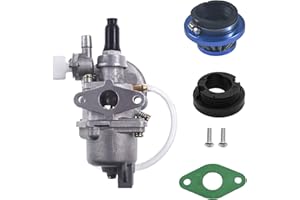 JRL Carburador de filtro de aire para mini ATV Quad Dirt Pocket Bike de 2 tiempos de 47 cc y 49 cc (azul)