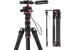 NEEWER 77" Camera Tripod Monopod with 360° Ball Head & Arca Type QR Plate, Compact Aluminum Lightweight Travel DSLR Video Tripod Stand with Reversible Legs & Inverted Central Axis, 13lb Max Load, TP08