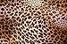 Produktbild 495058 Sensuality A4 Photo Poster Print 10x8