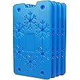 WORLD-BIO Ice Freezer Packs for Lunch Box Cooler, Reusable Cool Refreeze Blocks for Lunch Bags, Keeps Food Cold & Fresh - Ideal for Cooler Bag for Frozen Food, Office/Picnic Lunch Set of 4, Blue