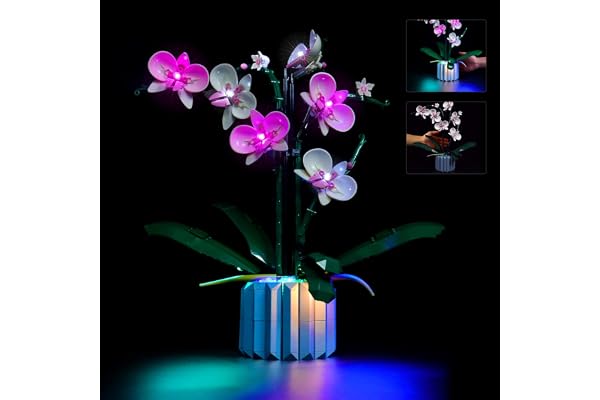 BrickBling Kit d'éclairage LED pour décoration d'orchidée Lego 10311 - Pour Lego Orchidée Collection botanique (lumières uniquement, blocs de construction non inclus) - Version de contrôle de la