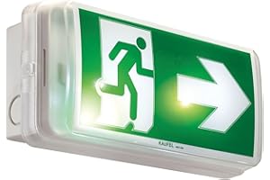 Bloc autonome éclairage sécurité évacuation BAES PRIMO3 60LA 226220K KAUFEL