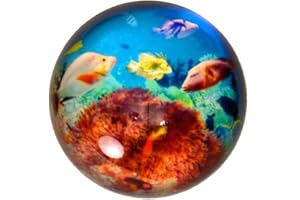 trendaffe Unterwasserwelt Briefbeschwerer -