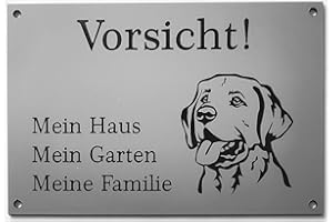 BIGTREND24 Warnschild Vorsicht Labrador Schild Hundeschild Haus Garten Familie Silber (20x15cm 4 Löcher Ecke)