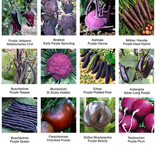 Samen - Saatgutsortiment - Set - Mix - Mischung - lilafarbiges Gemüse - Erbsen, Bohnen, Brokkoli, Blumenkohl und Vieles mehr - 12 Sorten - 555 Samen