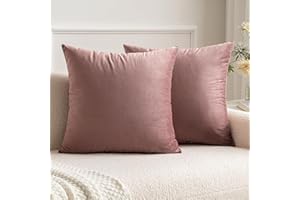 MIULEE Lot de 2 Housses de Coussins en Velours Décoratif Canapé Taie d'oreiller Super Lisse Doux Confortable Decoration Maison Salon Chambre pour Canapé 65X65CM Confiture