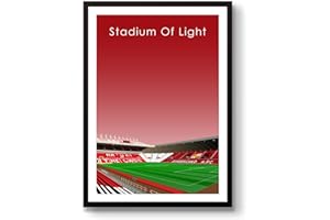 HOME GROUND GroundDesigns SUNDERLAND AFC Football Gift STADIUM OF LIGHT Art Print SAFC