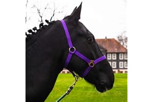 PFERDELINIS Cavezza per cavallo, sangue caldo, purosangue, sangue freddo – cavezza per stalla, cavezza per pascolo, 2 regolazioni su sottogola e nuca – sicura e antistrappo (viola, sangue caldo, Full)