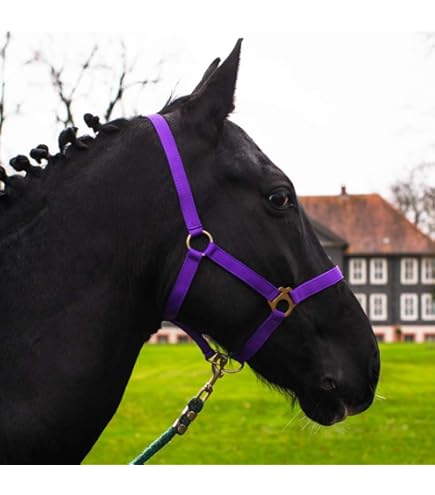 Maglia A Maglia Per Cavallo, Con Moschettone O Gancio Antipanico, 2 M