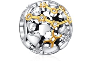 Annmors Constellation Birthstone Ciondolo Argento Sterling 925 Charm Bead Gemelli Zirconia Cubica,Compatibile Bracciale Collane Europei, della mamma,donne,amici,compleanno compleanno,regalo Natale