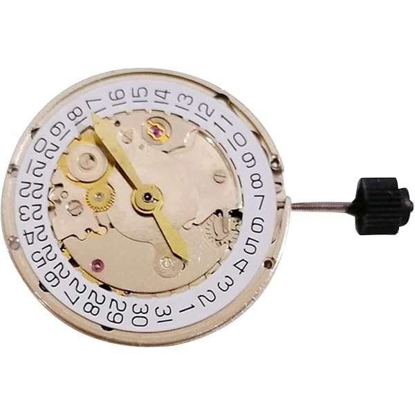 Boîtier Montre Acier Inoxydable Pour Mouvement ETA 2824-2 - Swiss Made, Sans Marque