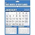 2025 Calendar, Planners & Personal Organisers, Wall Planners, Holidays and Notable Dates, Wall Planner Spiral Bound for Home Business Office School(3 Months to View)