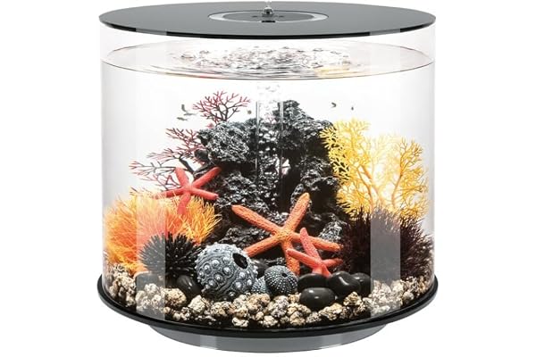 biOrb Tube 35 MCR svart – elegant designakvarium, komplett set med filtersystem, 360 graders utseende