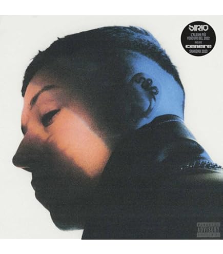 Vinile Personalizzato Wanapix Con Foto E Testo: Decorazione Unica Per Casa E Amanti Della Musica! - Foto 10