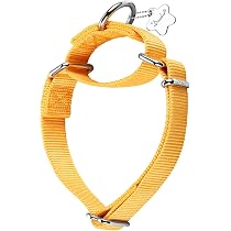 Martingal-Halsband Für Hunde – Einstellbar, 2,5 Cm Breit, Weich, Für Große/kleine Hunde