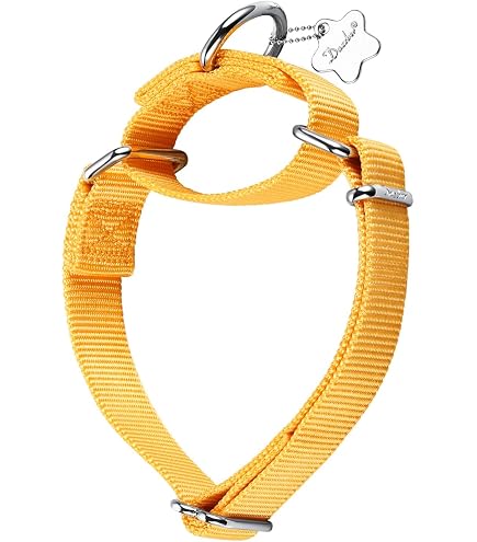 Dazzber Martingal Halsband Für Hunde – Einstellbar, 2,5 Cm Breit, Weiches Polyester, Größe L (45-64 Cm)