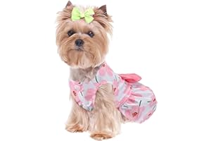 Maodom Robe pour chien avec nœud et fleurs décoratives – Robe d'été mignonne pour chihuahua Yorkie (taille XS, + bleu)