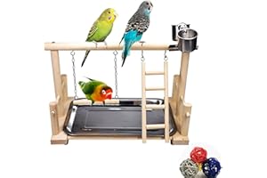 CHSEEO Vogelspielplatz für Papageien, Parrot Playstand Papagei Spielplatz mit Futterschalen, Spielzeug, Tablett aus Edelstahl, für Nymphensittiche Vögel Kanarien Wellensittich, 36 x 23 x 25 cm