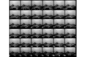 Ugo Mulas: Vitalit Del Negativo