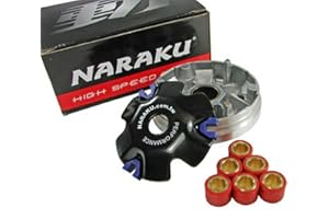 Variomatik NARAKU STANDARD für FLEX TECH Cavallino 50cc, Cityleader, FIRENZE, FUN, HURRICAN, Luna