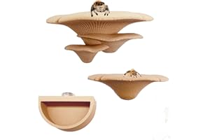 Heyshapeing Pilz-Regal mit Springspinne – magnetisch verdeckter Lebensraum & Gehege, Dekorzubehör, Klettern, Futterplattformen und dekorative grüne Regale für springende Spinnen (Beige)