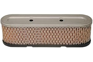 Stens 100-909 Tecumseh 35403 - Filtro aria