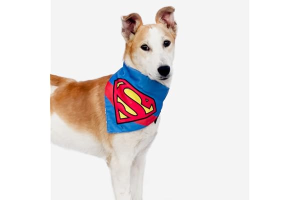 TDIT X DC Official Superman Dog Reversible Bandana/Scarf with Adjustable Dog Collar (Size - M-L)