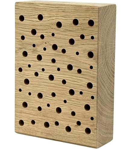Germerott 5x Ansteck-Flugbretter Aus Holz – Für Segeberger Hochboden, Zusätzliche Anflugfläche 4,5 Cm – Für Die Bienenzucht