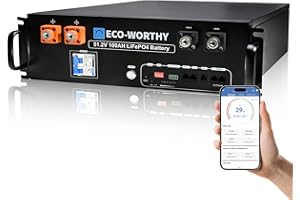 ECO-WORTHY LiFePO4 Battery 48V 100AH,5.12kWh Server Rack Battery (Version 3) with Bluetooth & WiFi,for Home,Shed,Workshop