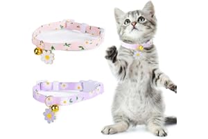 WBZOWRB Collarino Gatto, Collare Gatto Personalizzato, Collare Gatto Regolabile, Collare Gatto Collari per Gatti Antistrozzo con Campanellino,Personalizzato Accessori Animali Domestic, 2 pezzo