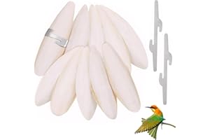 LHOEST Miseczki sepia dla żółwi, 10 szt., 9-12 cm, miseczki sepia dla ślimaków, ptaków, z uchwytem, papużki faliste, sepia, akcesoria dla żółwi, akcesoria dla gadów, zwierząt domowych, wapń i minerały