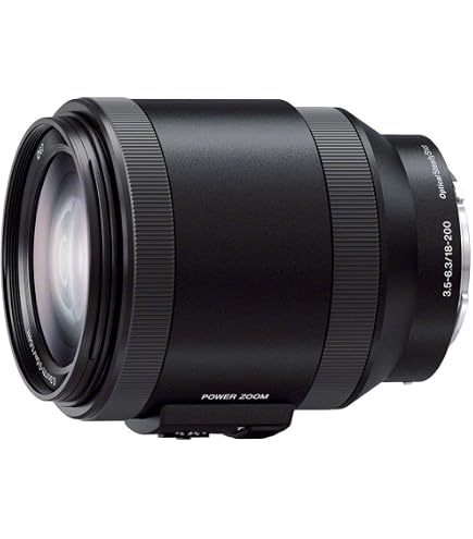Tamron 18-200mm VC Di III for Sony NEX - Black : Amazon.se