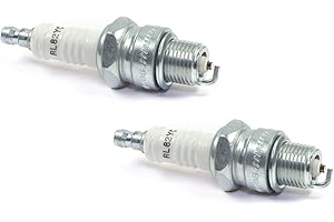 CHAMPION_SET Zündkerze Set 2 Stück Champion RL82YC/ OE064 für Adly/Herchee Aeon Aiyumo Aprilia Arctic Cat Atala/Rizzato Barossa/SMC Benelli Beta Bombardier Buffalo/Quelle CPI Ducati Ering Harley Davidson Hercules