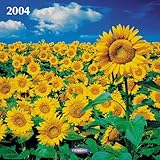 Image de Sonnenblumen 2004. Broschürenkalender inkl. Geburtstagsplaner, mit Ferienterminen