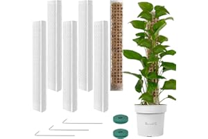 Vicloon Tuteur Plante en Plastique,6pcs Tuteur Monstera, Tuteurs Plante Grimpante, Poteaux en Mousse Transparent,Poteaux Grimpantes pour Maison Jardin de Support de Plantes