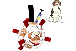 CHUKCHI Jouet interactif pour Chien en Forme de Balle de Football, Jouet Aquatique pour Chien, Cadeau d'anniversaire pour Chiot, balles durables pour Chiens de Petite, Moyenne et Grande Taille