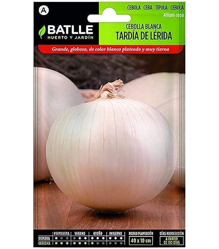 Graines D'oignon Blanc 'de Paris' - Environ 300 Semences (Allium Cepa) - Pour Jardin Potager, Conservation Au Vinaigre - 11