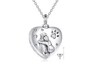 WINNICACA Ashes Cremation Necklace Urn S925 Sterling Silver Cremation Necklace for Memory Ashes Necklaces for Women Memorial Urn Heart Necklace Fashion Jewellery