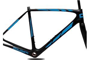 DualColorStampe Set 10 Adesivi Stickers Decal Telaio Bici Bicicletta adesivi telaio MTB Universale Protezione COD. B0170 (BLU 53)